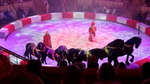 цирк новогоднее представление Маска