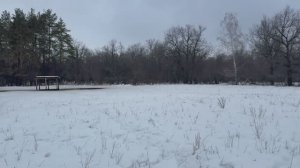 Охота на кабана с Arkon Arma HR50L | Есть ли у зверя шанс?