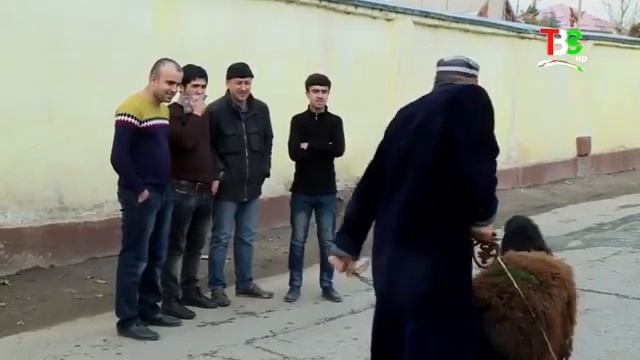 ТАШРИФ ХАЛИЛОВ ДИПЛОМ 2019 NEW смотреть онлайн