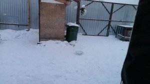 замена карбюратора на квадроцикле atv200