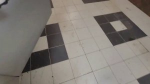 Настройка омывателя лобового стекла Opel Astra H 2013