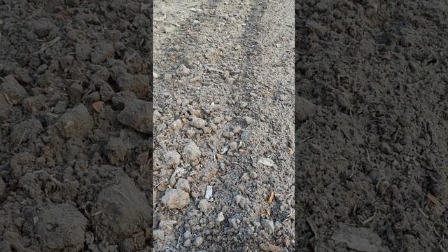 Голубика , малина , 19.03.2025. смотреть онлайн