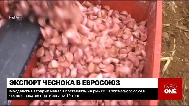 INFO ONE - НАЧАЛИ ПОСТАВЛЯТЬ НА РЫНКИ ЕВРОПЕЙСКОГО СОЮЗА Ч смотреть онлайн