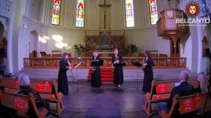 В.А. Моцарт «Маленькая ночная серенада»