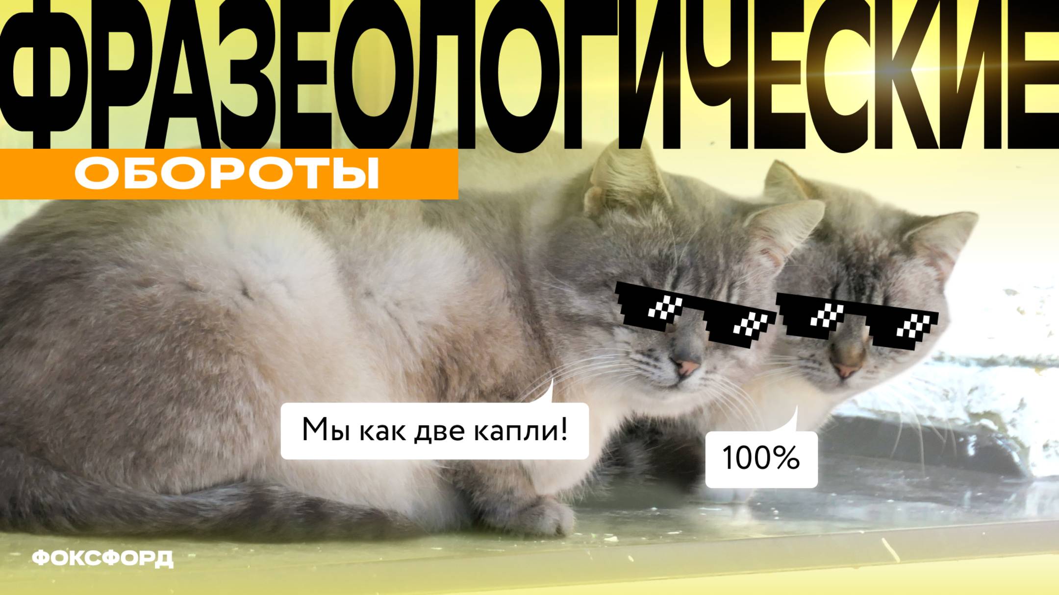 Фразеологические обороты | Русский язык, 4 класс смотреть онлайн