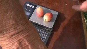 Виноград Басанти