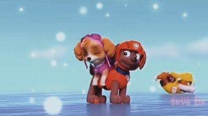 ~|💦Скай и Зума💦|~(Diamonds);~Skye and Zuma