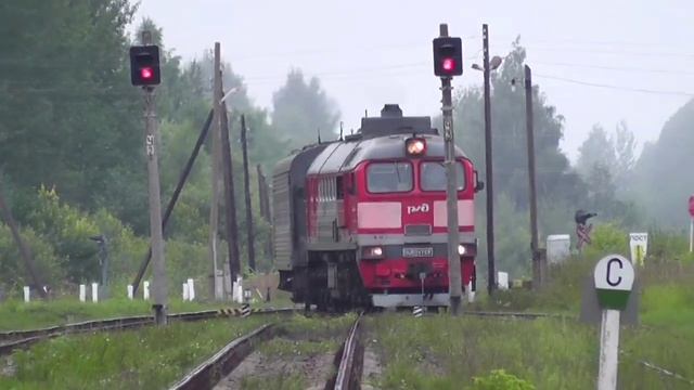 10 лучших видео за 2024 год! Предновогодний сборник видео