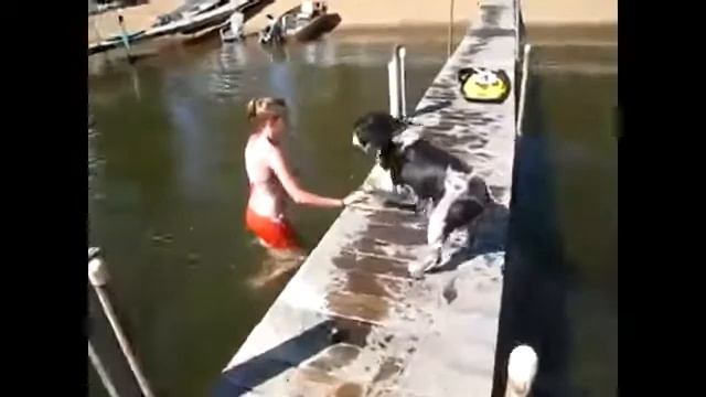 Фауна шоу-45 смотреть онлайн