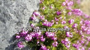 «Молись Христу»   Караоке-Плюс исполняет Анжелика Вишн?