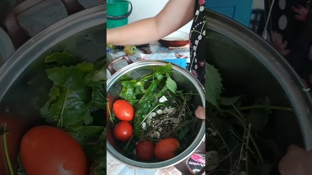 Как заквасить помидоры - 2 ст.л. соли на 1 л воды. Всё! #по?