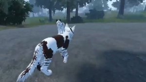 ||Преданные сердца.Клятва Голубики. Глава 3.|| #котывоители #warriorscats