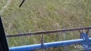 Уборка зерна 2024 Комбайн Енисей 1200нм