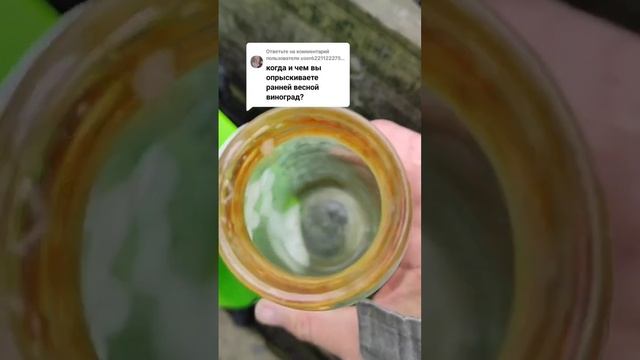 Защитите виноград от болезней и вредителей смотреть онлайн