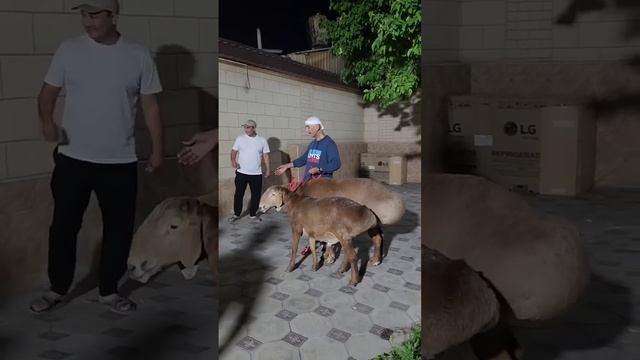 Атхамбек Юлдашев