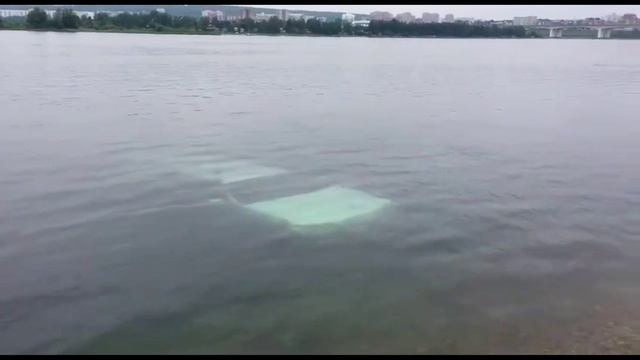 Берега попутал