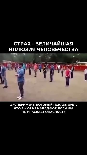 Спокойствие, чтобы выйти из иллюзий и тревог🫶 смотреть онлайн
