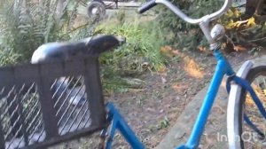 ОБЗОР ВЕЛОСИПЕДА САЛЮТ СССР 28 ДЮЙМОВЫЕ КОЛЕСА!