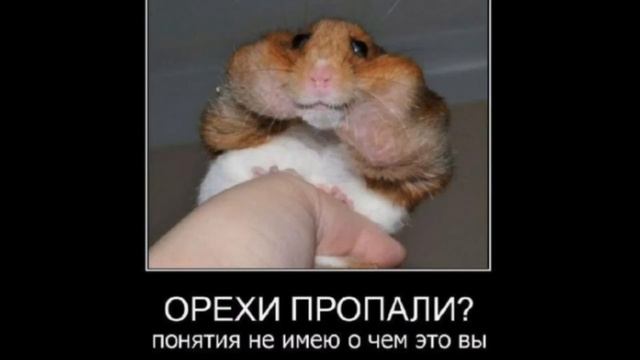 ТЫ быканул или мне показалось? / Мемы смотреть онлайн