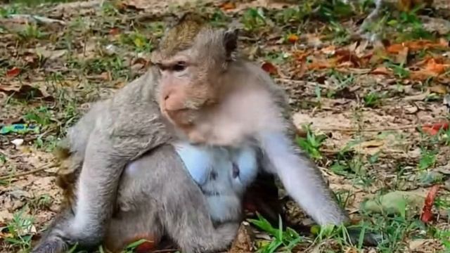 По отдельным жестам и по характеру взаимодействия... 1000007152.mp4 смотреть онлайн