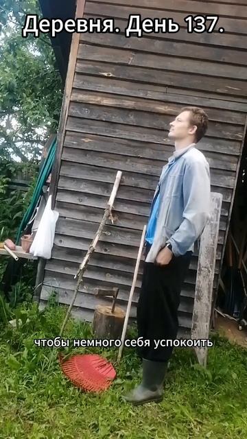 Деревня. День 137. Заскучал по лестнице shorts #абсурд смотреть онлайн