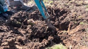 Корчевание пней мини экскаватором Kubota, корчевать, вык?