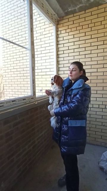 Отзыв от Екатерины: Цена ниже, гарантия лучше смотреть онлайн