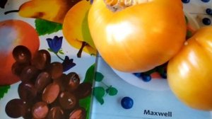 Томат - Оранжевый джаз .