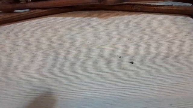 Черенки винограда! Хорошие сорта ! Распаковка . смотреть онлайн