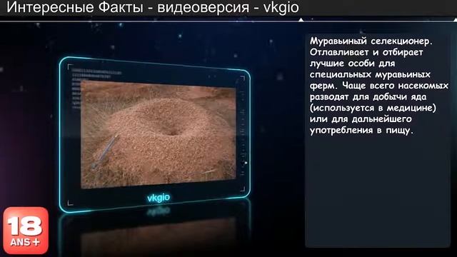 ТОП профессий. Прикол!! смотреть онлайн