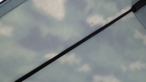 ролик - Палатка «Fish»