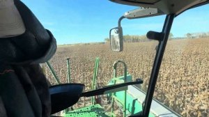 Уборка подсолнечника , комбайнами Джон дир