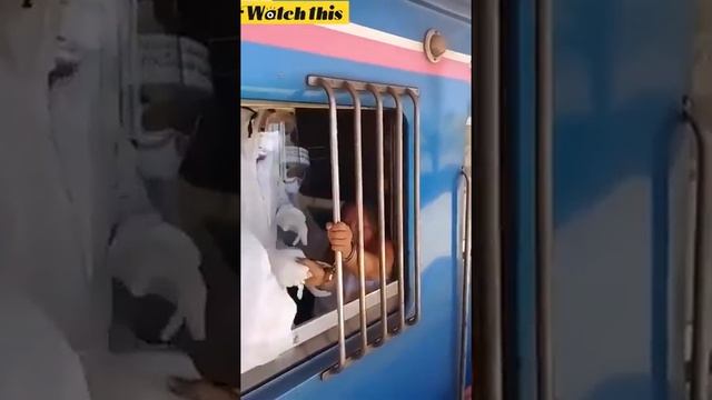 Тайский карантин. Ехала в поезде без маски и плевалась смотреть онлайн