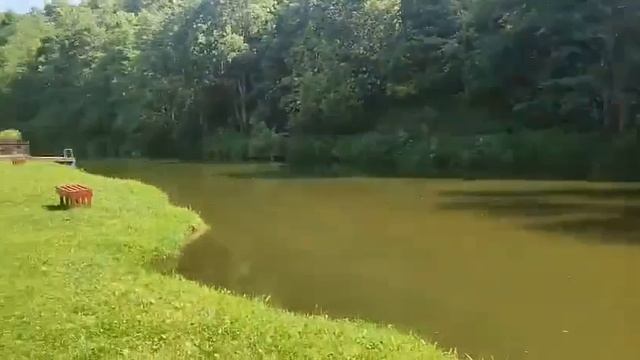 1000047238.mp4 смотреть онлайн