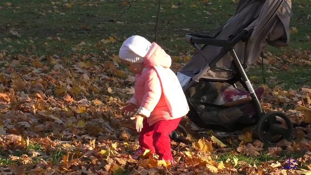 Осенний Ейск, парк им. И.М.Поддубного 28.10.2018. смотреть онлайн