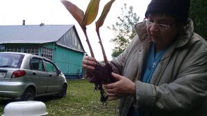 22-05-2025. Жизнь в деревне, на пенсии. Хроника дня - Без дела не сидим !