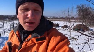 ОМОЛОДИ СТАРУЮ ВИШНЮ: Как Понизить Крону, Кербовка Ста