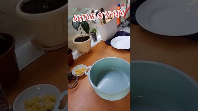 Цветочный Рай