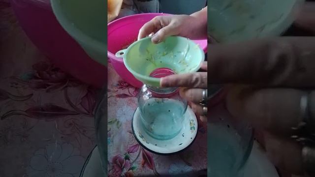 Квашенная капусты.Часть 2. смотреть онлайн