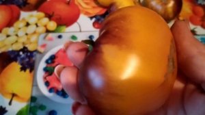 Томат -  Afternoon или Послеобеденный восторг