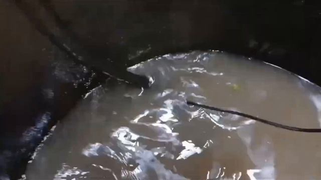 п. Туркмен. Купил клиент участок, решил проверить коло? смотреть онлайн