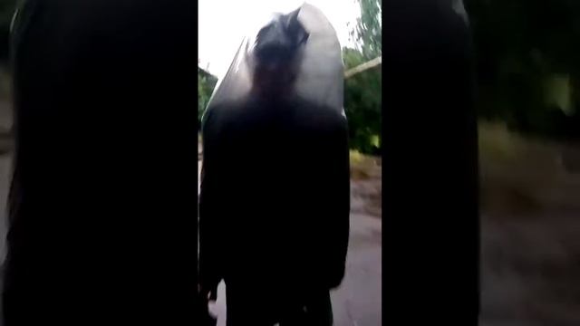 Спасение от дождя. Прикол