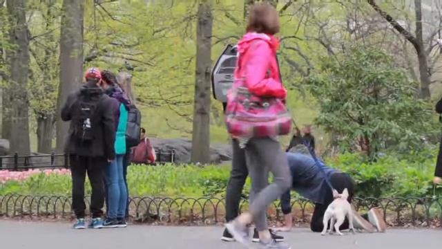 FARTING WITH ATTITUDE PRANK Пердёж