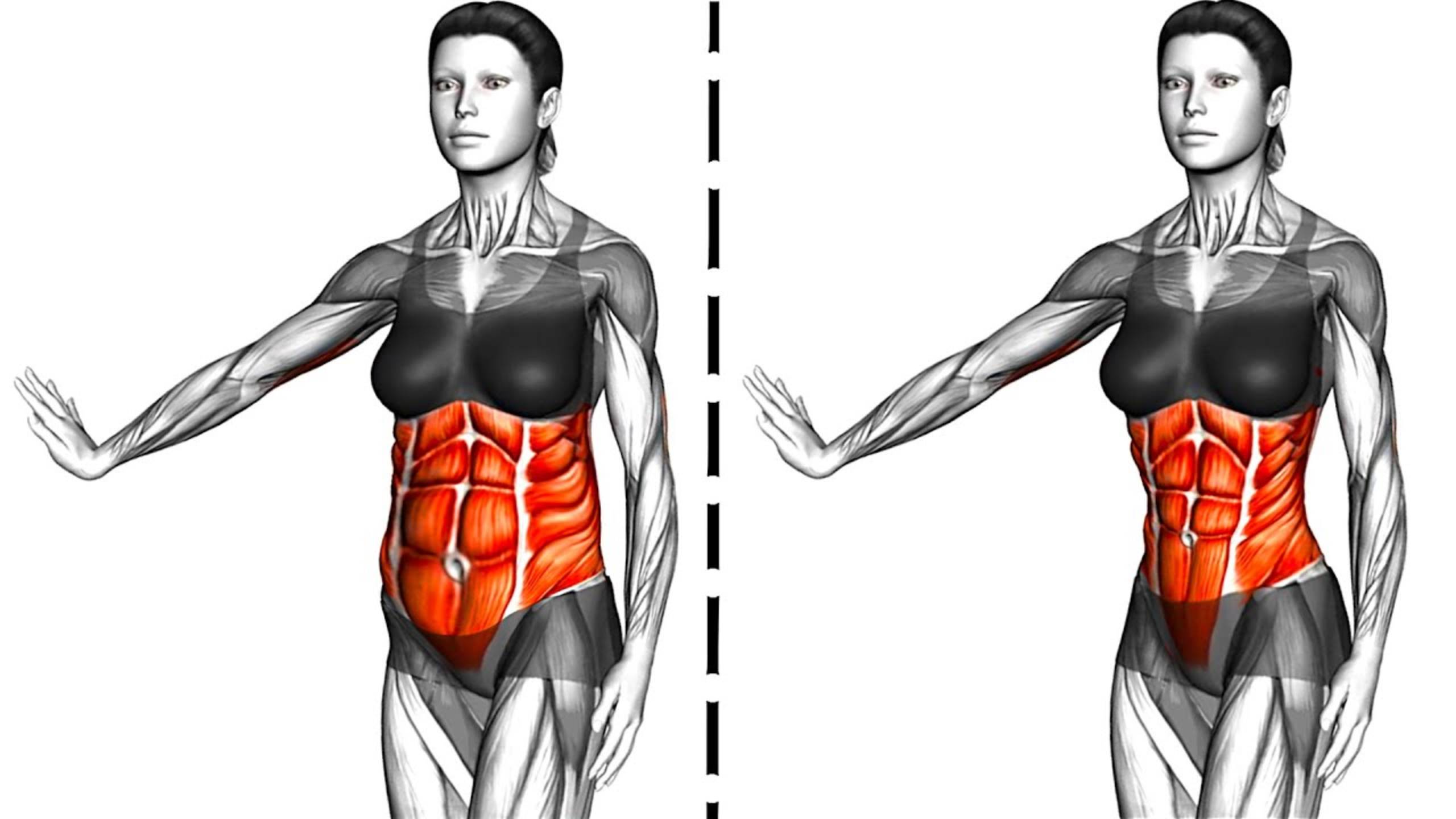Получите тонкую Талию и плоский Животик смотреть онлайн
