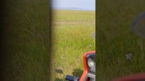 ролиз спорт 002 лёгкая пересеченная местность)