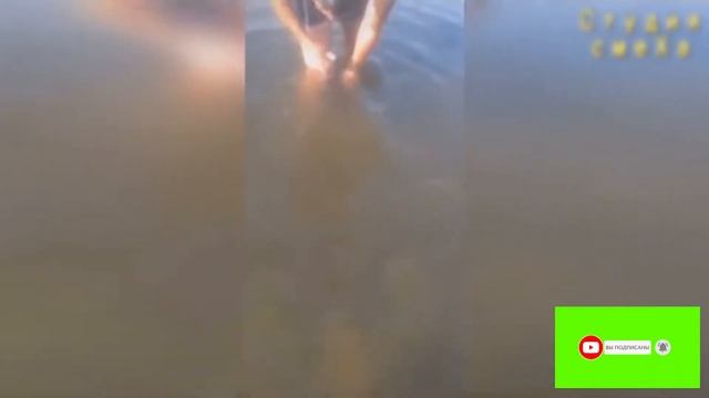 638 секунд смеха Июль 2021 #1 Лучшие приколы из Тиктока для взрослых мужиков 18+ Я ржал до слез смотреть онлайн