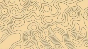 Роза барбоскина в вк куда они пропали они что мертвы