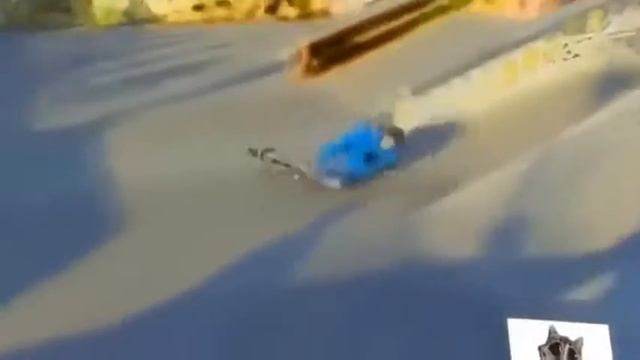 ЖЕСТОКИЕ ПРИКОЛЫ!