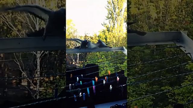 Вите надо выйти смотреть онлайн