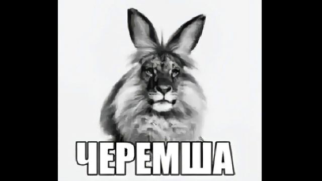 ЧЕРЕМША - мем, оригинал